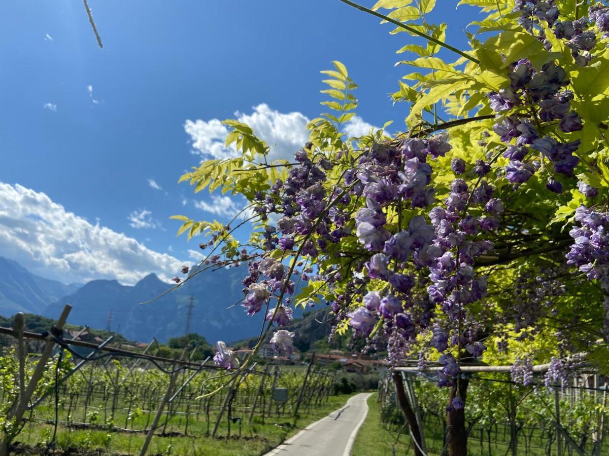Apartment Garda Baldo Torbole Sul Garda