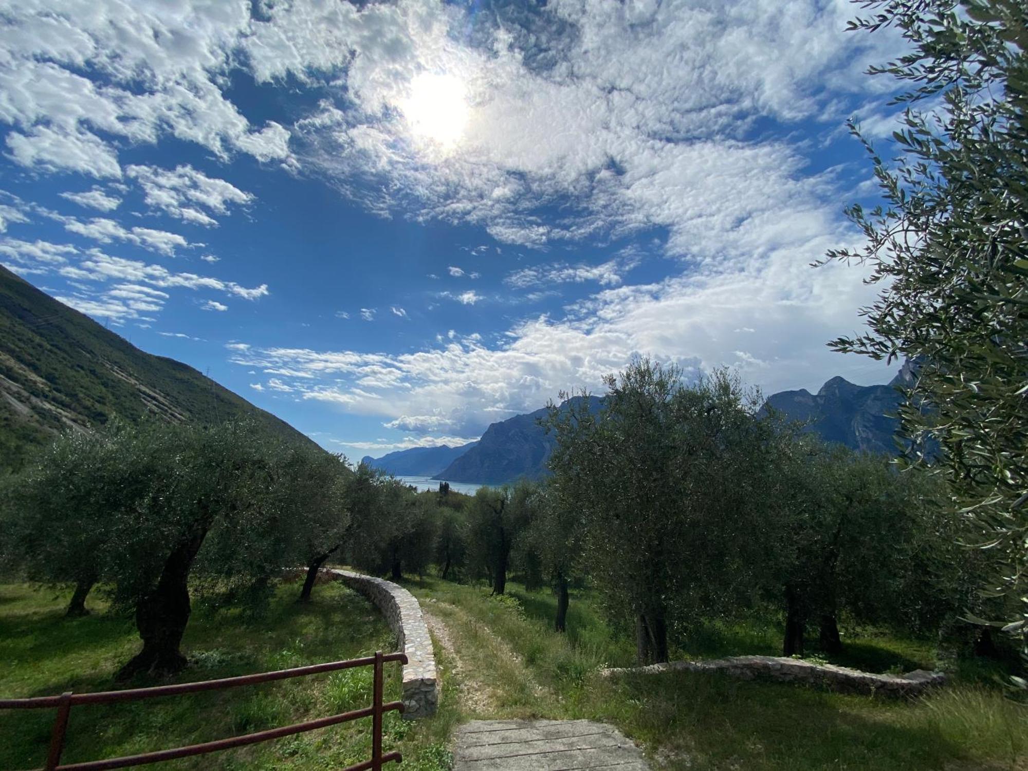 Apartment Garda Baldo Torbole Sul Garda