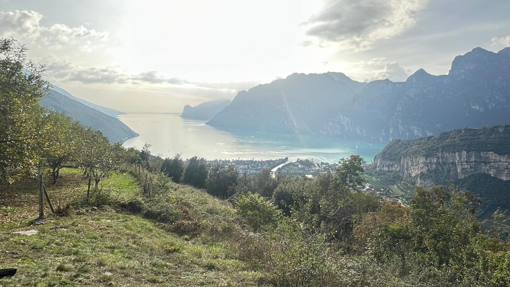 Garda Baldo Apartment Torbole Sul Garda